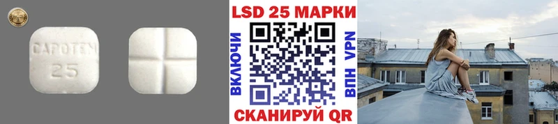 LSD-25 экстази ecstasy  Шагонар 