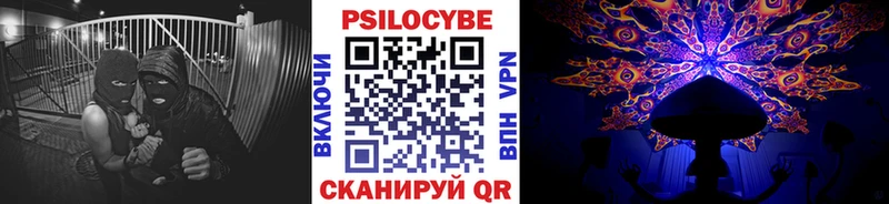 omg онион  как найти закладки  Шагонар  Псилоцибиновые грибы Magic Shrooms 